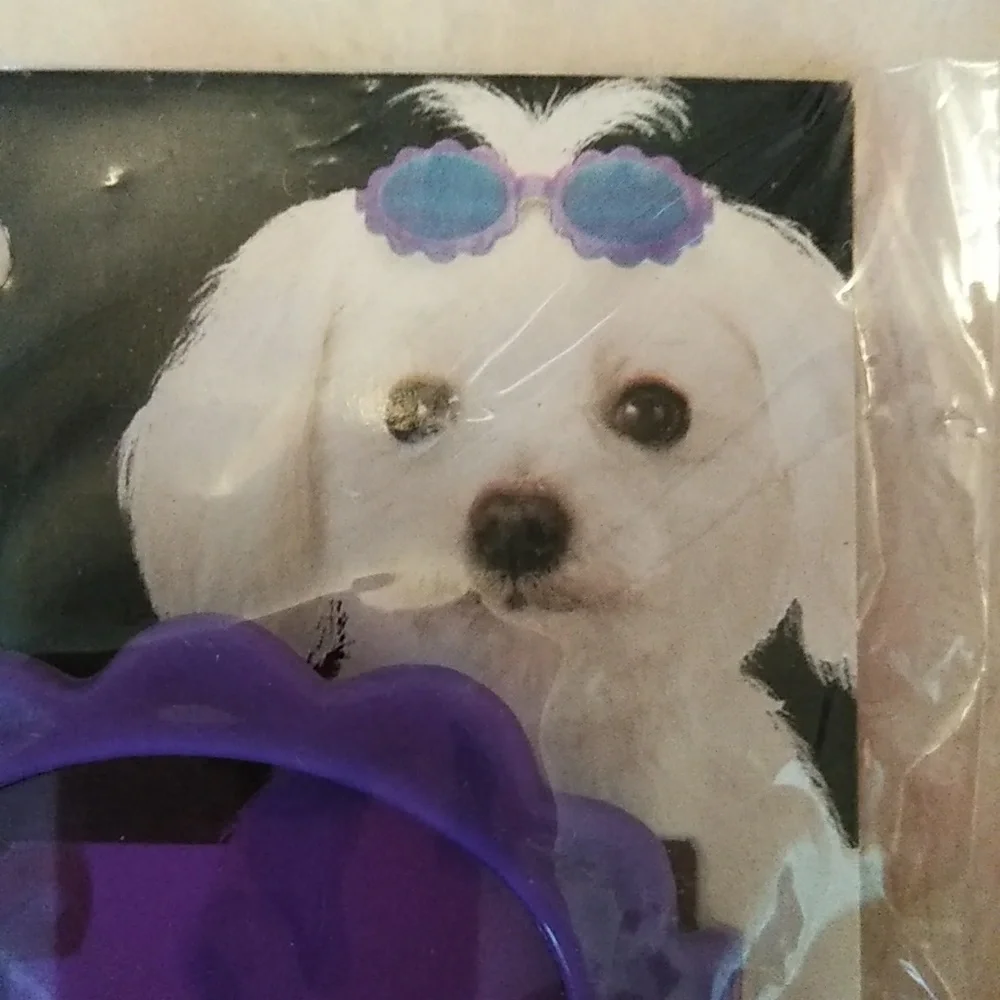 Aria Brand 💜 Dog Barrette 🕶️ Sunglasses 🕶️💜